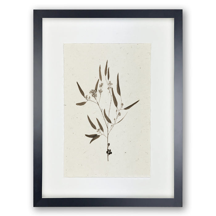 Framed Eucalyptus #5 handmade Nepalese paper wall art print with dark botanical illustration.