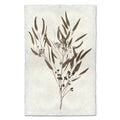 Eucalyptus #6 handmade Nepalese paper wall art print with sepia botanical illustration of leaves and berries.