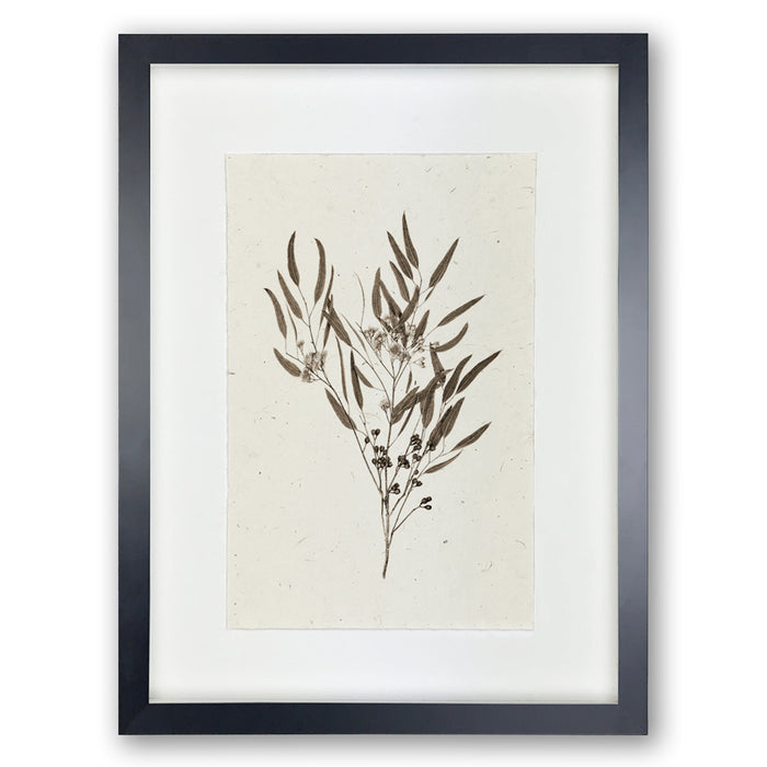 Eucalyptus #6 handmade paper wall art print, framed in black with a white mat.