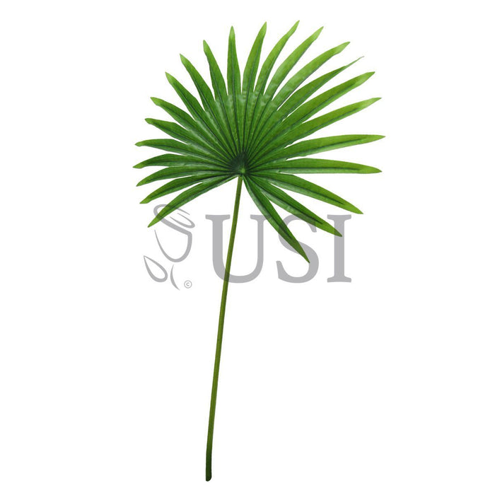 Fan Palm Leaf Stem Real Touch, 32in, Green