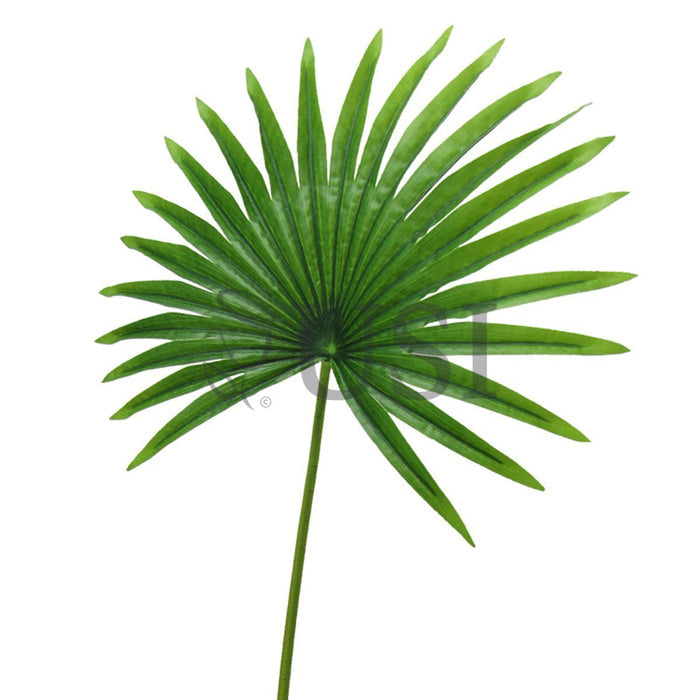 Fan Palm Leaf Stem Real Touch, 32in, Green