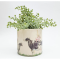 Farm Animal Planter