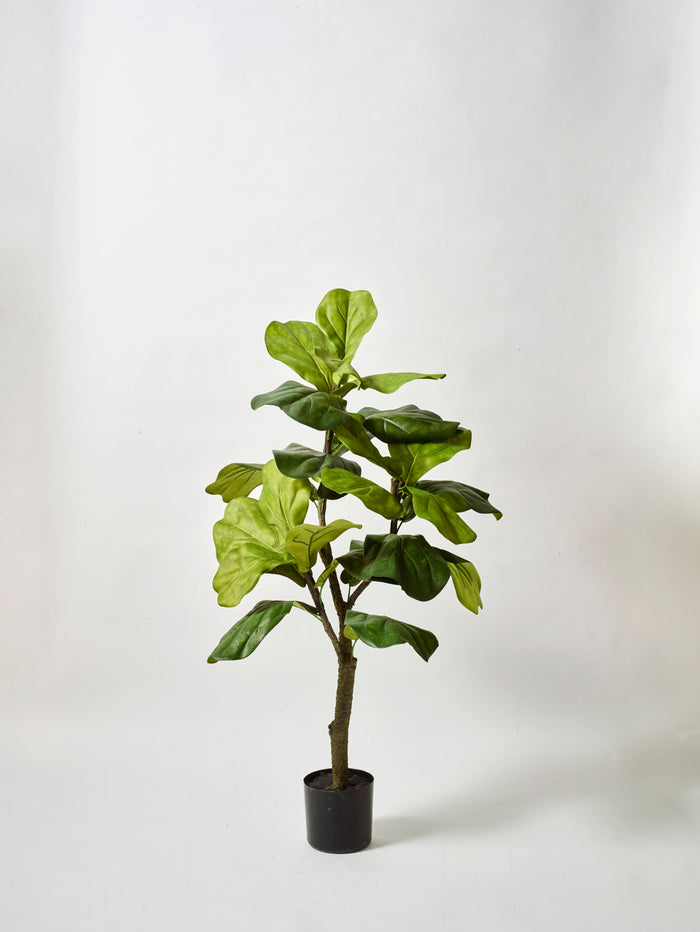 Faux Ficus Lyrata, Green - 90 cm