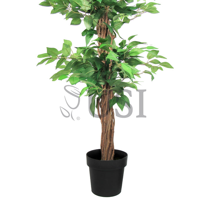 Ficus Tree Potted w 3 Tiers, 6ft, Green