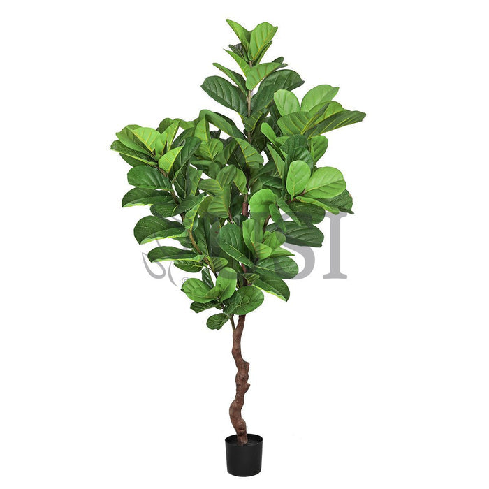 Fiddle Leaf Fig Tree Real Touch Potted, 6ft, Green