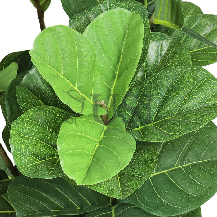 Fiddle Leaf Fig Tree Real Touch Potted, 6ft, Green