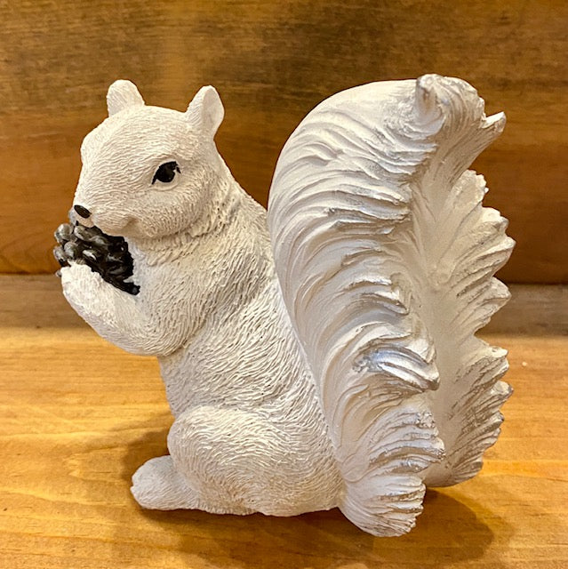 Shot from the back side, our cute white squirrel holding a large pine cone shows off the details in her tail.