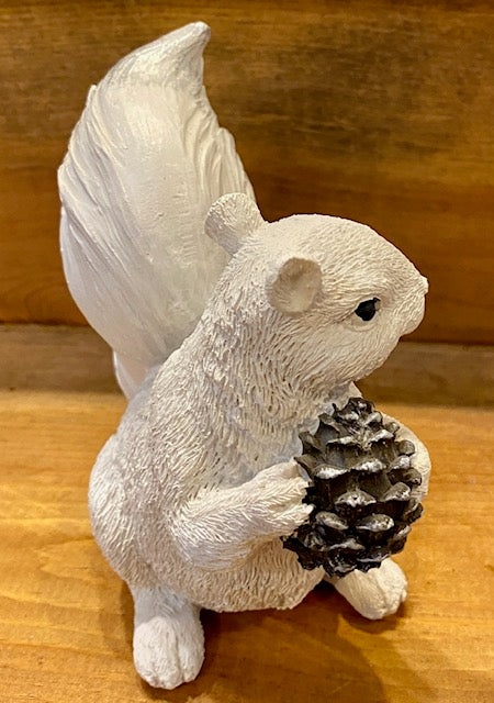 Though she's looking the other way, the right side angle of our white squirrel holding a large pine cone still makes you want to reach out and touch her with that fine detail.