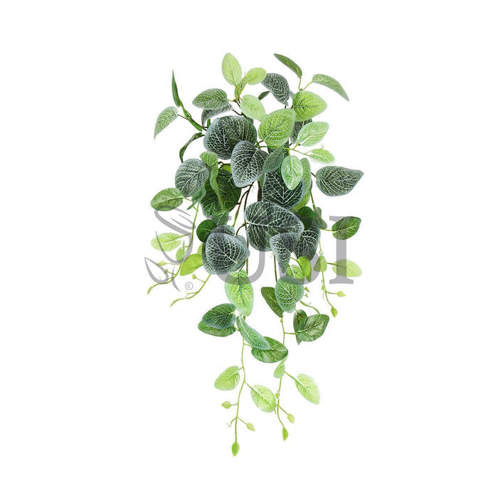 Fittonia Ivy Hanging Greenery Bush, 24in, Green