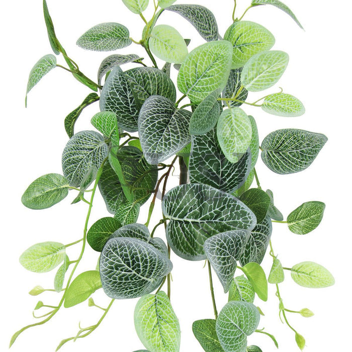 Fittonia Ivy Hanging Greenery Bush, 24in, Green