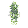 Fittonia Ivy Hanging Greenery Bush, 32in, Green