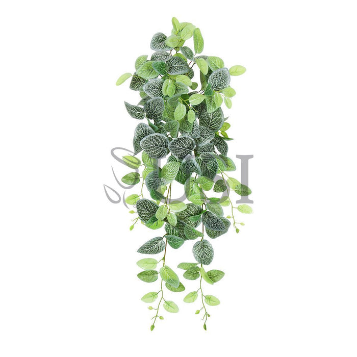 Fittonia Ivy Hanging Greenery Bush, 32in, Green
