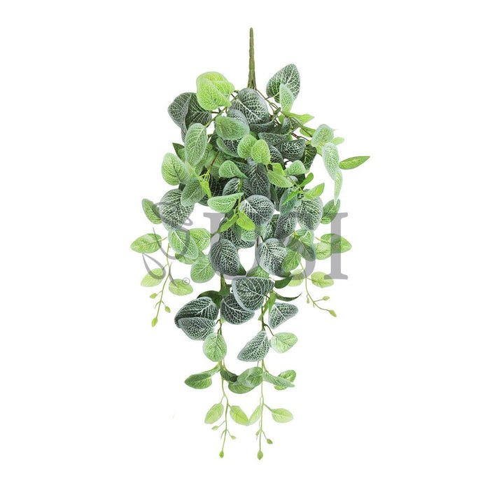 Fittonia Ivy Hanging Greenery Bush, 32in, Green