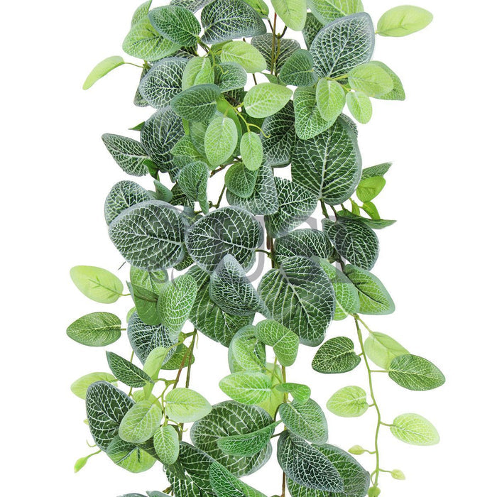 Fittonia Ivy Hanging Greenery Bush, 32in, Green