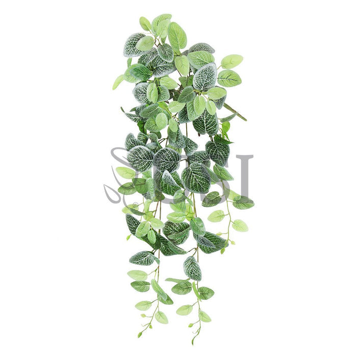 Fittonia Ivy Hanging Greenery Bush, 32in, Green