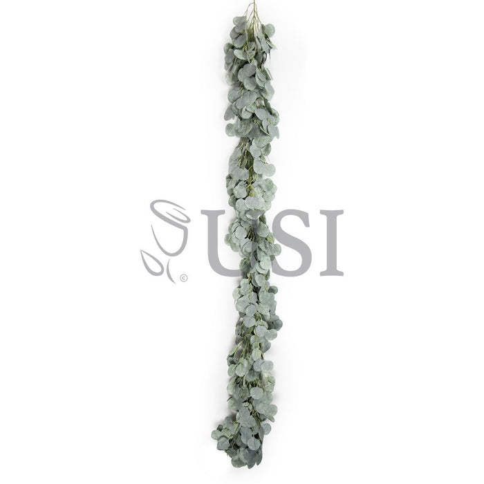 Frosted Full Silver Dollar Eucalyptus Greenery Garland, 6ft, Frosted Green