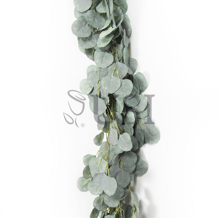 Frosted Full Silver Dollar Eucalyptus Greenery Garland, 6ft, Frosted Green