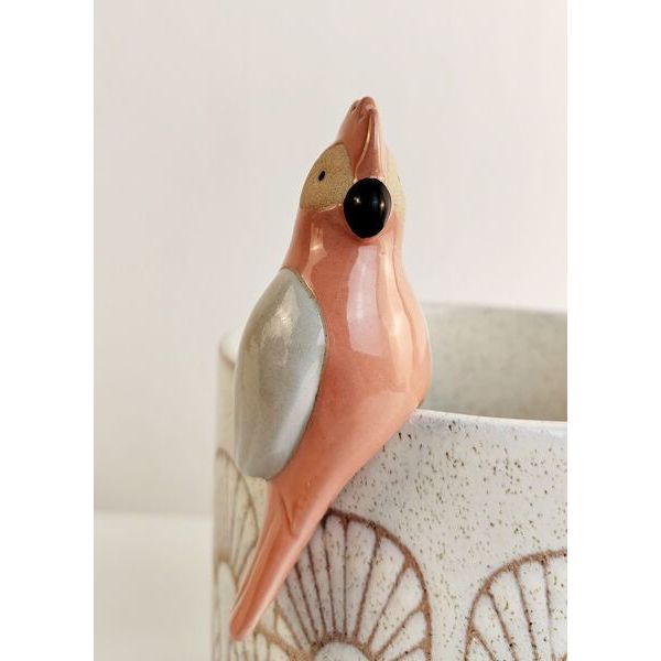 gala bird australian pot hanger for plant pot edge