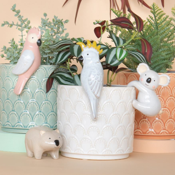 Pot Hangers Australian Birds