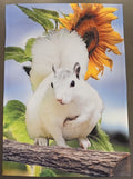 Garden Flag - White Squirrel with Large Sunflower