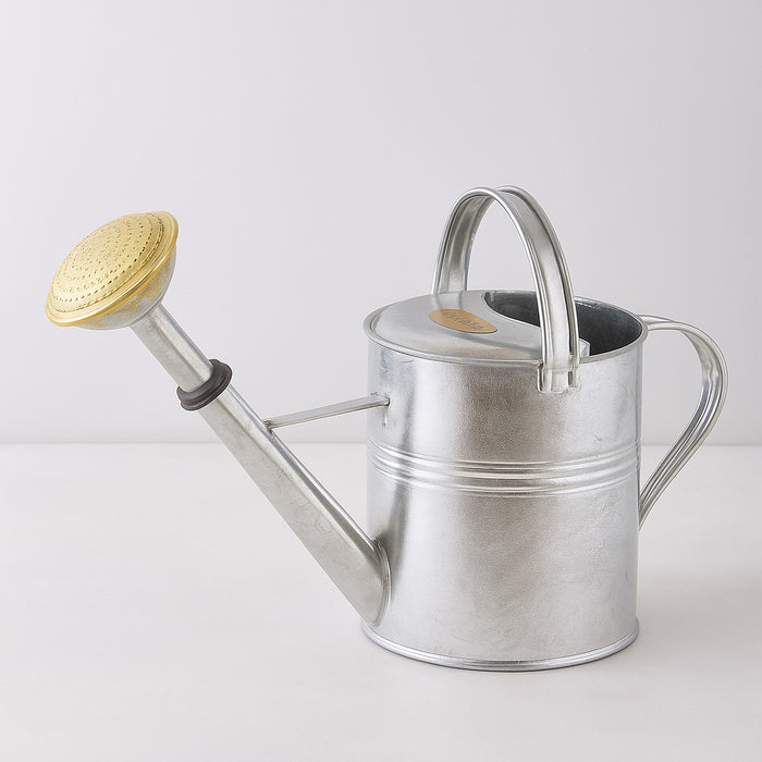 HG Garden 9-liter galvanized watering can with a silver body and a brass-colored rose.