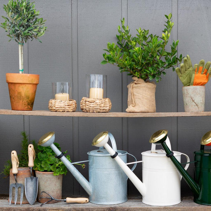 Galvanized watering cans in light blue, white, and dark green with brass accents, on a wooden shelf.