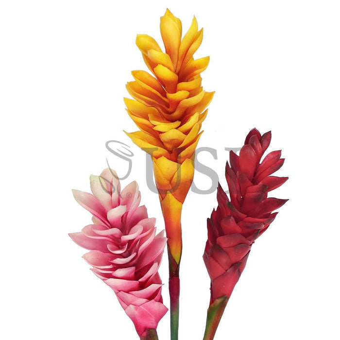 Ginger Flower Stem Real Touch, 31in, Red