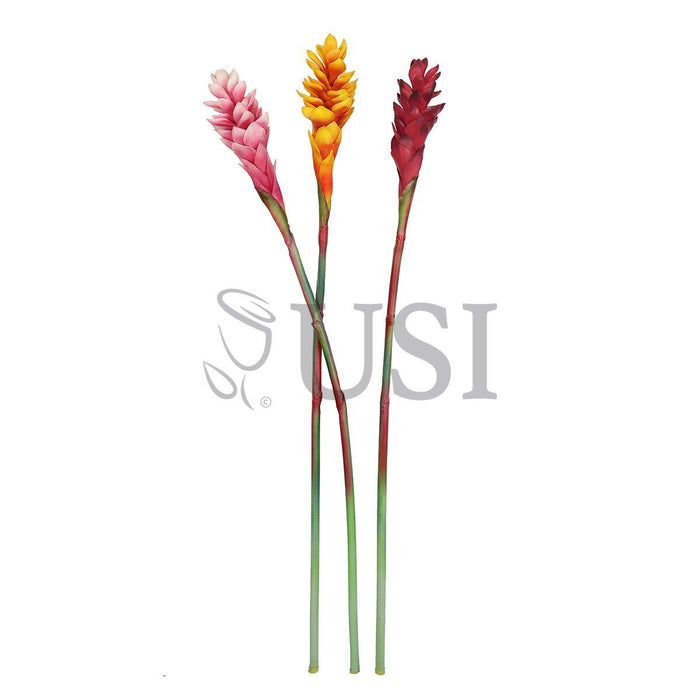 Ginger Flower Stem Real Touch, 31in, Red
