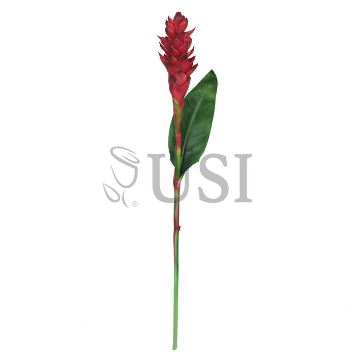 Ginger Flower Stem w Leaf Real Touch, 31in, Red