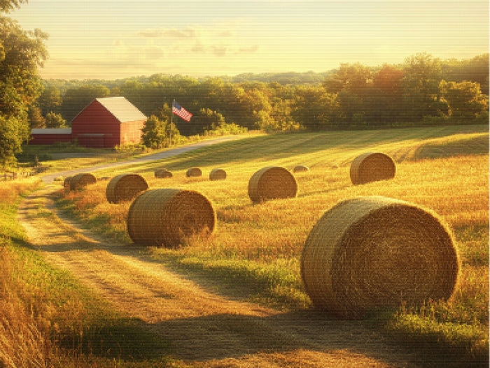 Golden Hour at the Farm