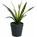Grass Plant Green 20cm