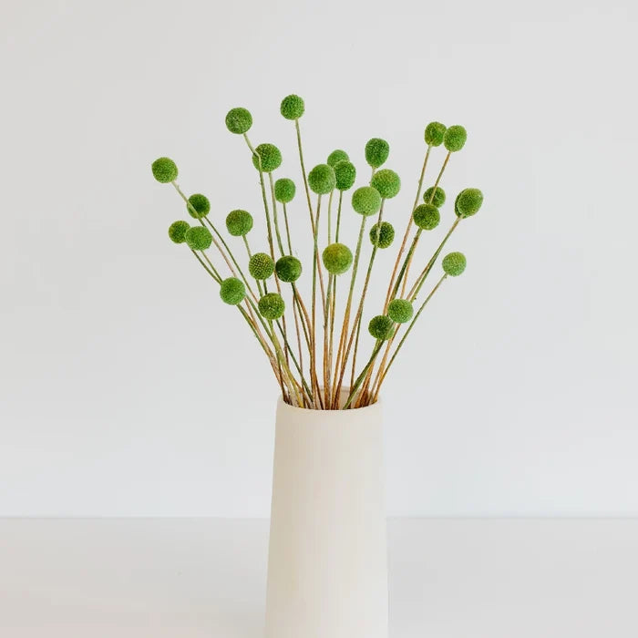 Green Dried Craspedia Billy Ball Vase - Image