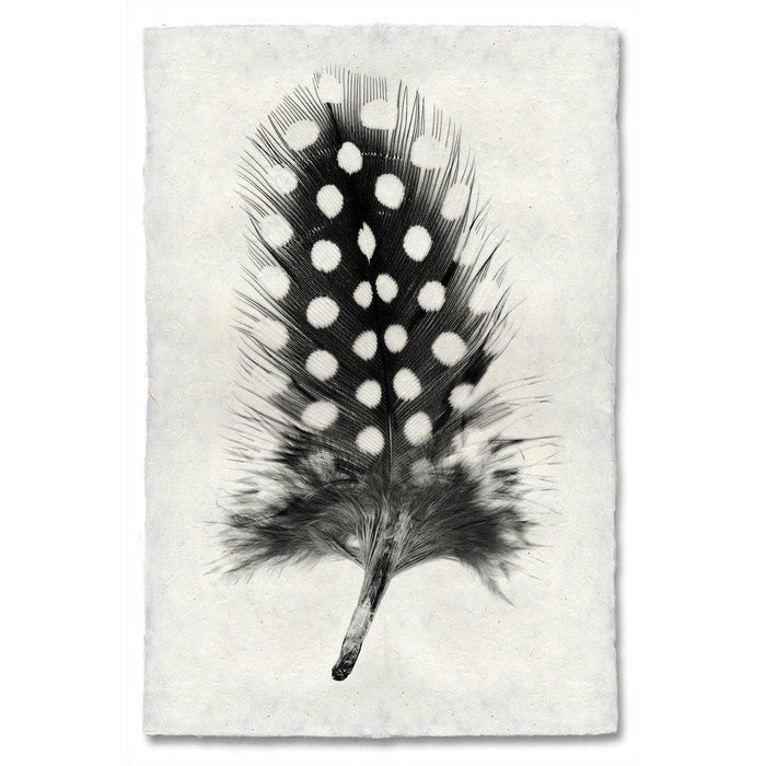 Black and white Guinea Fowl feather print on textured Nepalese handmade paper wall art.