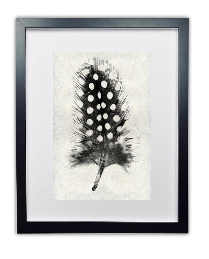 Framed black and white Guinea Fowl feather print on textured handmade paper, black frame.