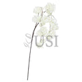 Hanging Cherry Blossom Spray Triple Bloom, 58in, Cream White