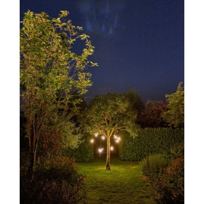 Hanging Robin Light - Charming and Whimsical