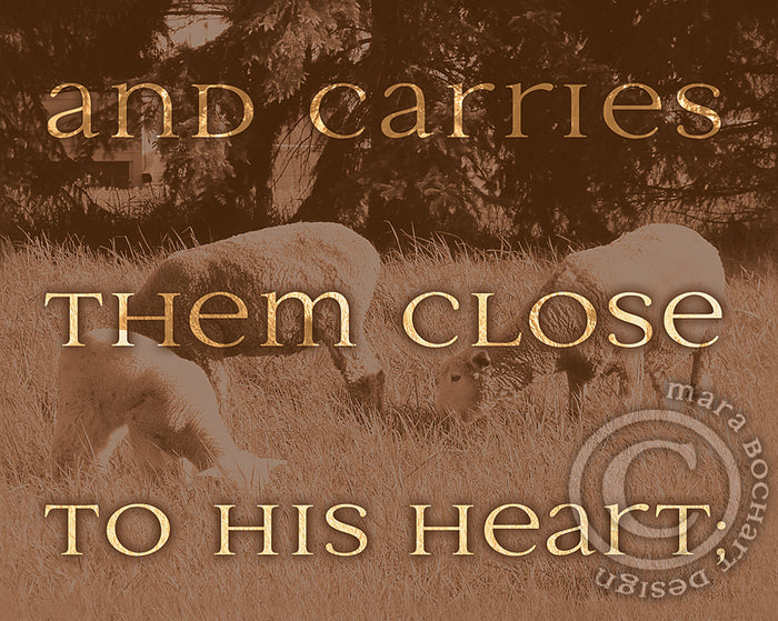He Carries