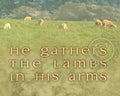 He Gathers