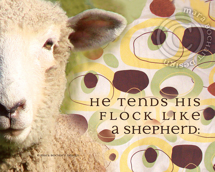 Coordinating Design: He Tends