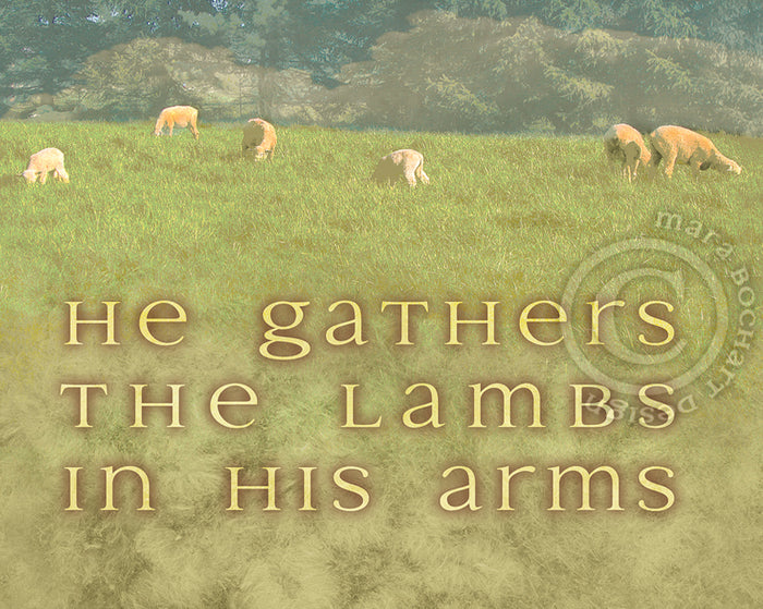 Coordinating Design: He Gathers