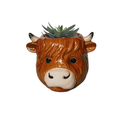 Highland Cow Planter Brown 10cm