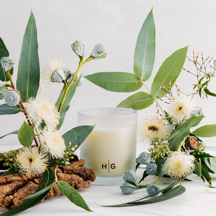 Hudson Grace Montecito scented candle in a frosted glass vessel, surrounded by eucalyptus leaves, buds, and white flowers.