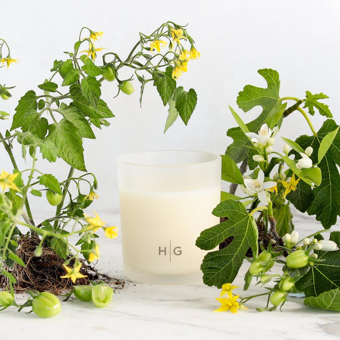 Hudson Grace San Marzano scented candle in a frosted glass vessel, surrounded by tomato and fig plants.