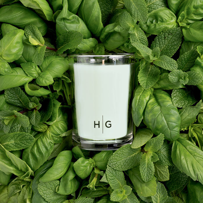 Hudson Grace Sweet Basil Kitchen Candle in a clear glass jar with HG logo, surrounded by fresh green basil and mint leaves.