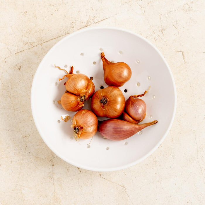 Hudson Grace white ceramic berry bowl with shallots, 9"Dia. x 2.5"H.