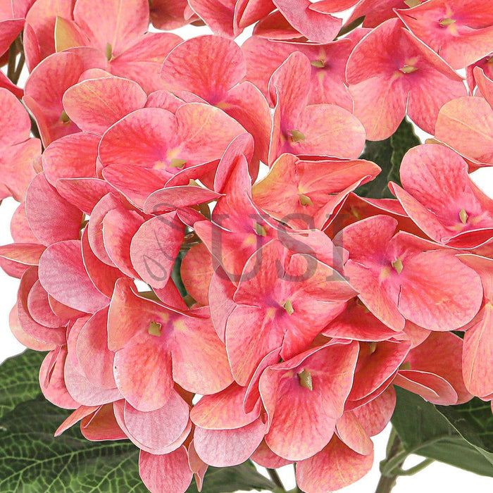 Hydrangea Flower Bush Natural Touch x5, 18in, Coral Pink