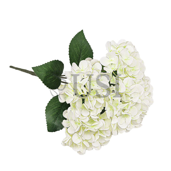Hydrangea Flower Bush Natural Touch x5, 18in, Cream White