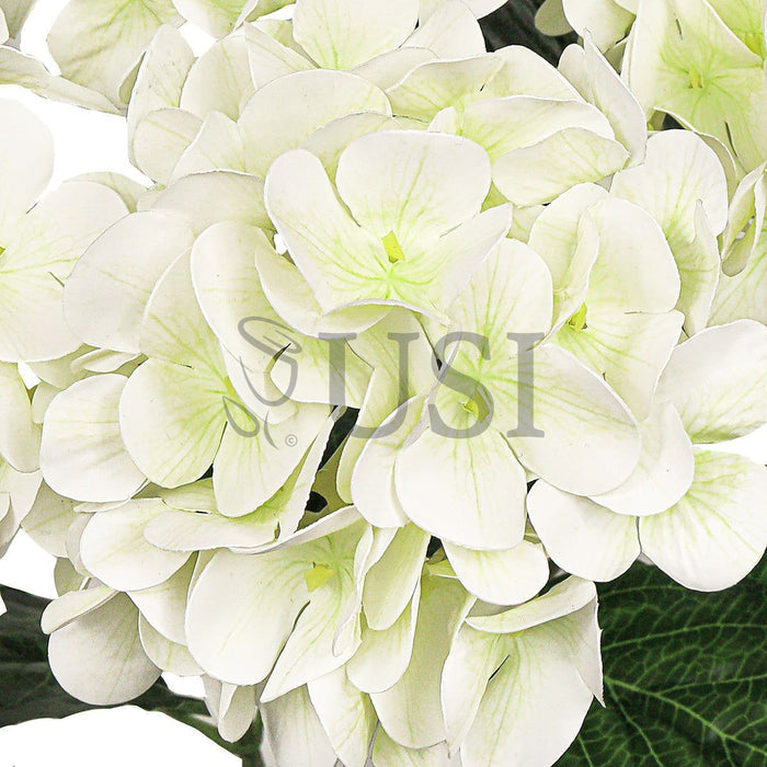 Hydrangea Flower Bush Natural Touch x5, 18in, Cream White