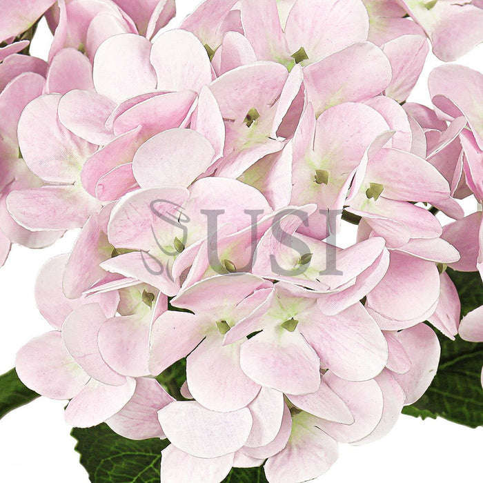 Hydrangea Flower Bush Natural Touch x5, 18in, Light Pink