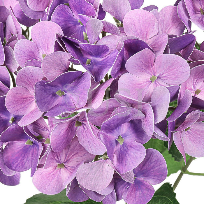Hydrangea Flower Bush Natural Touch x5, 18in, Purple